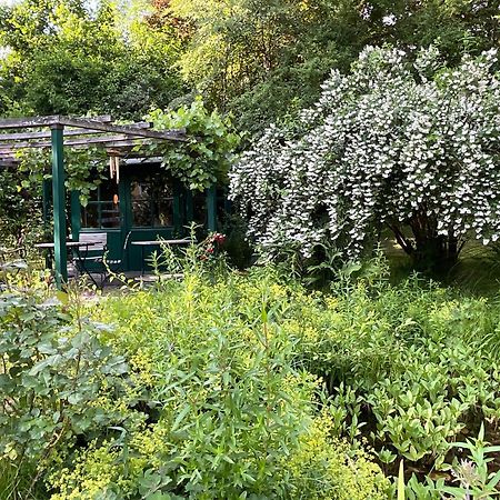 Design Ferienwohnung Mit Bauerngarten Waldkirchen Eksteriør billede