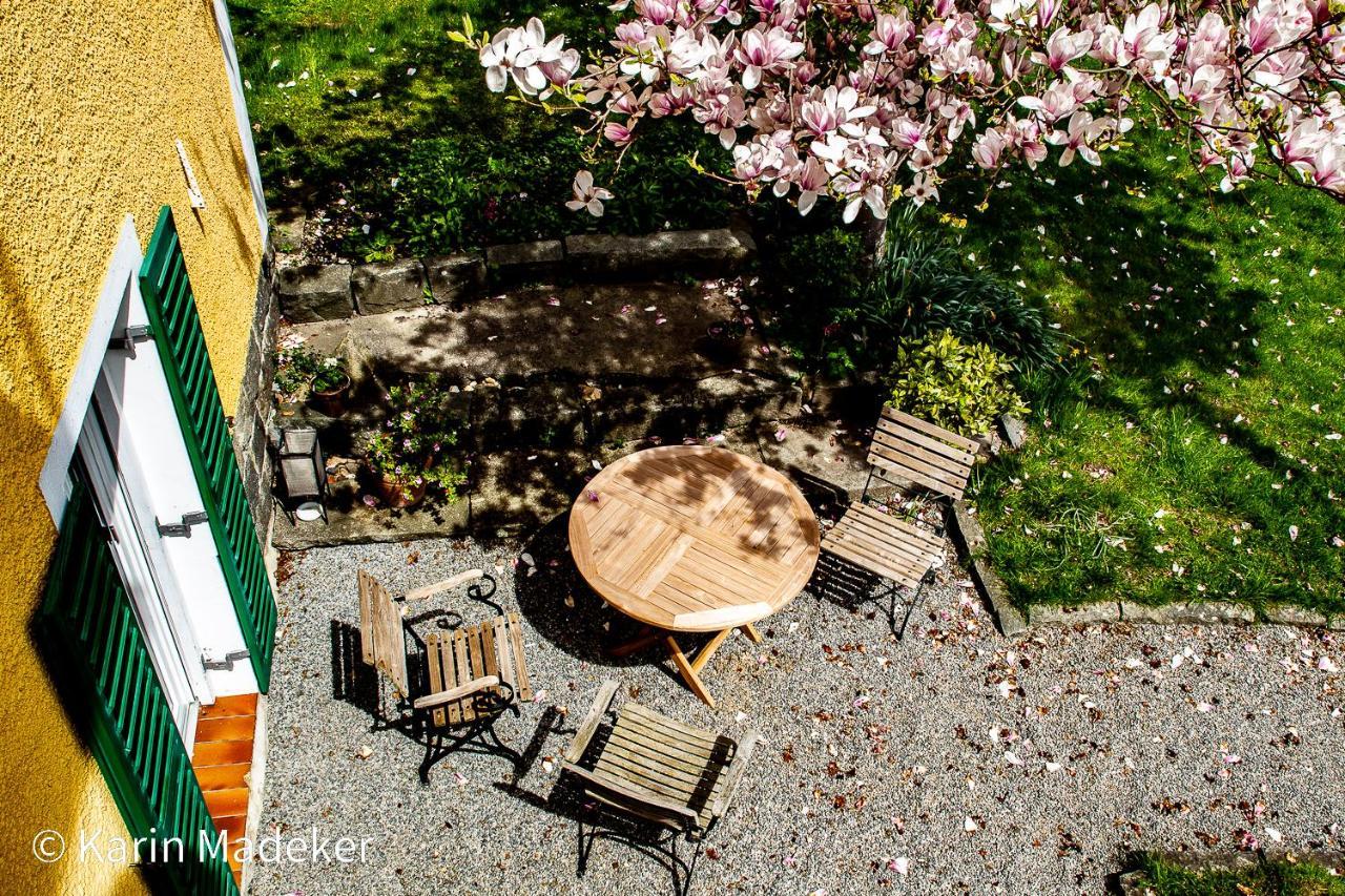Design Ferienwohnung Mit Bauerngarten Waldkirchen Eksteriør billede