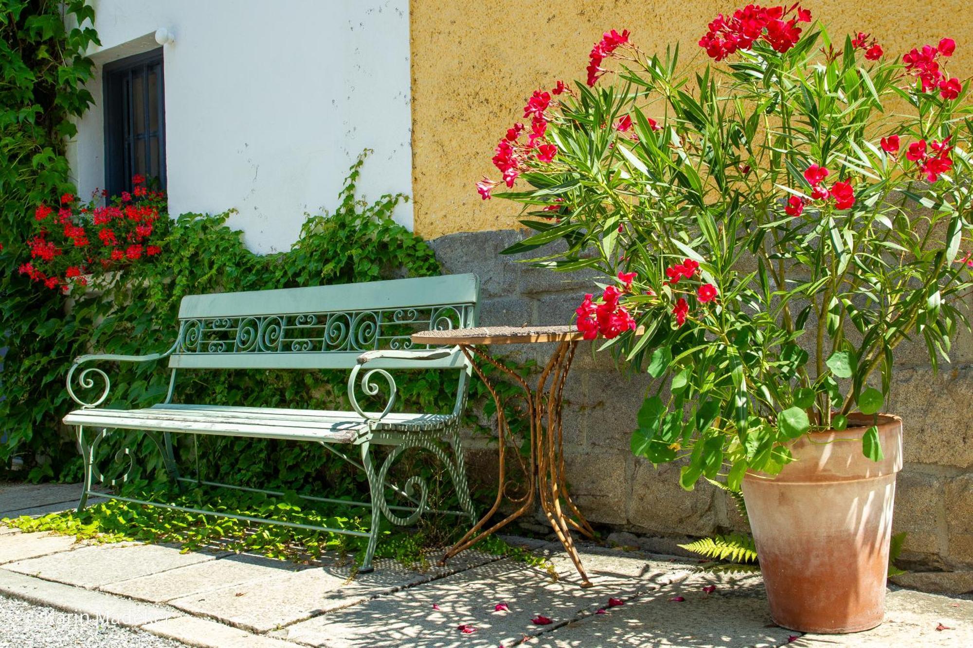 Design Ferienwohnung Mit Bauerngarten Waldkirchen Eksteriør billede