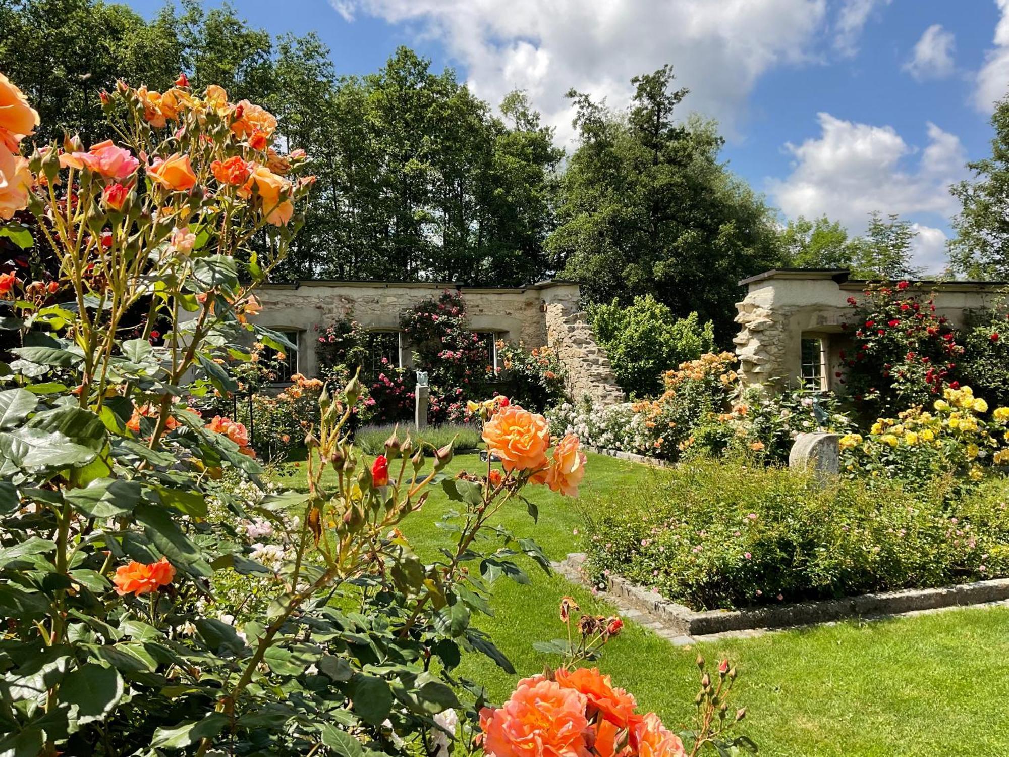 Design Ferienwohnung Mit Bauerngarten Waldkirchen Eksteriør billede