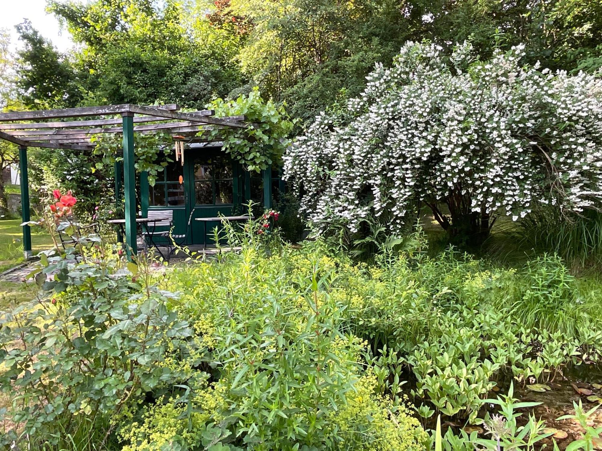 Design Ferienwohnung Mit Bauerngarten Waldkirchen Eksteriør billede