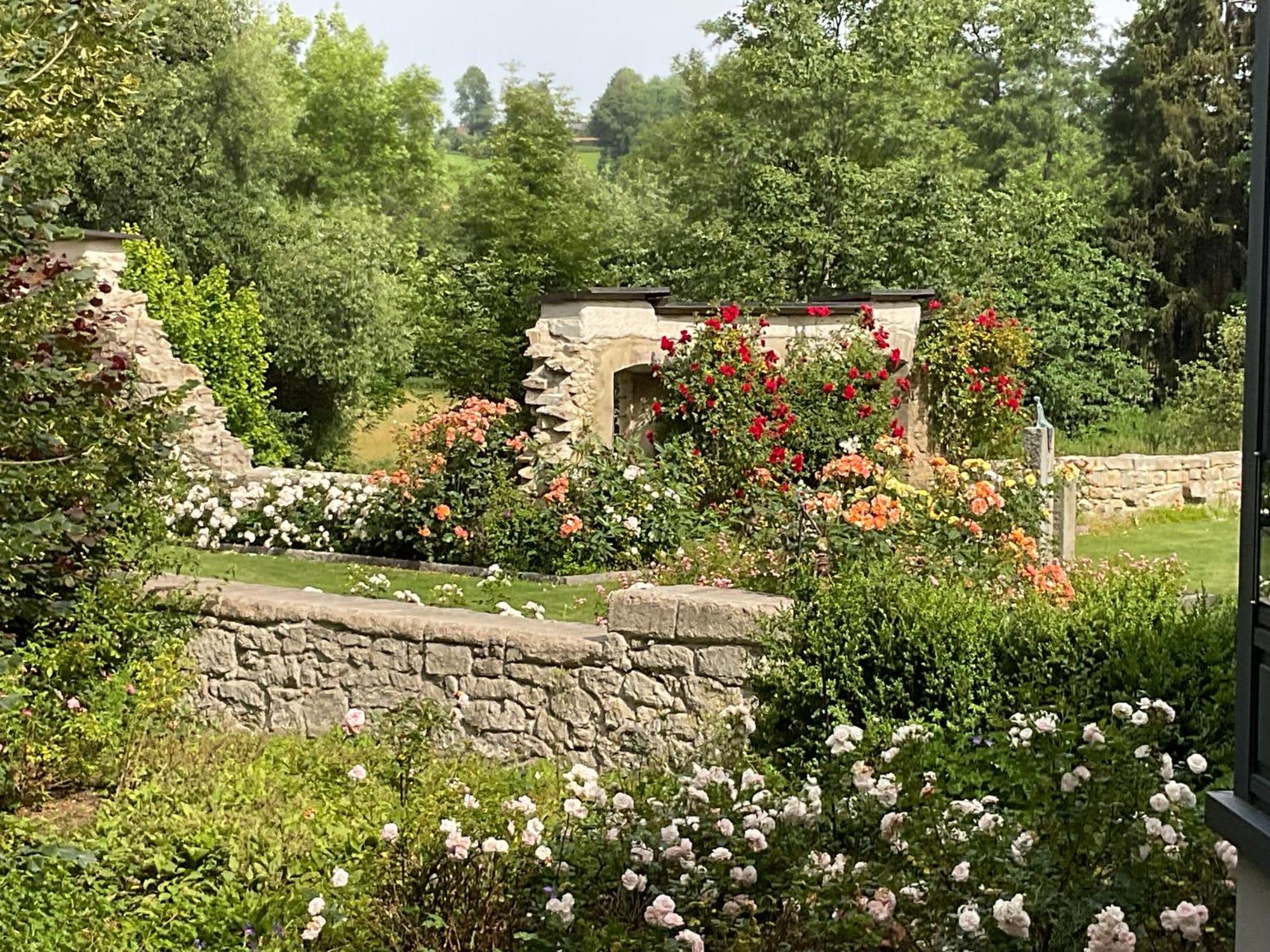 Design Ferienwohnung Mit Bauerngarten Waldkirchen Eksteriør billede